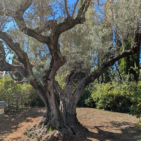 Rez De Villa, Jardin, Parking A 10 Minutes De La Lägenhet Bandol
